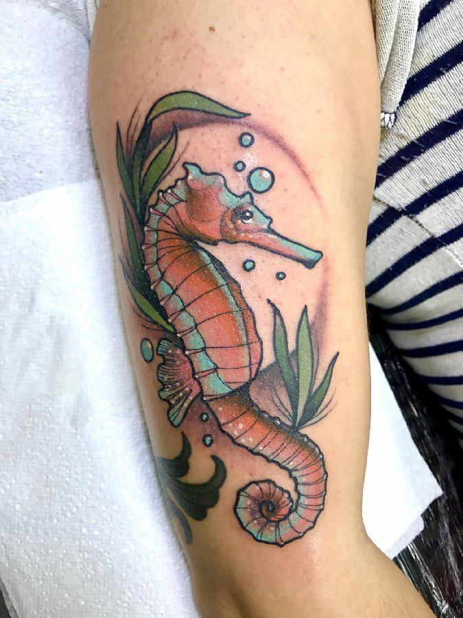女生手臂上彩绘水彩素描创意文艺海马动物纹身图片