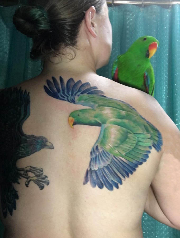 女生后背上彩绘渐变简单线条小动物鹦鹉纹身图片