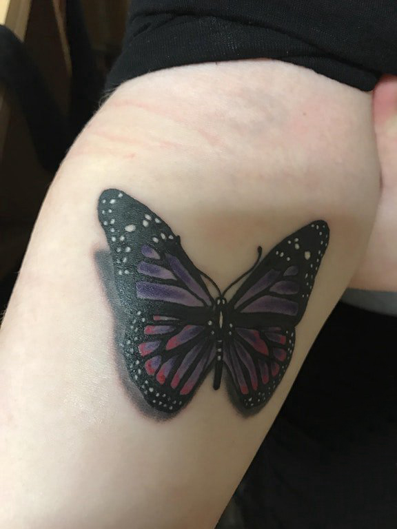 女生手臂上彩绘渐变简单线条动物蝴蝶纹身图片
