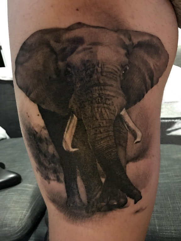 男生大腿上黑灰点刺简单线条写实小动物大象纹身图片