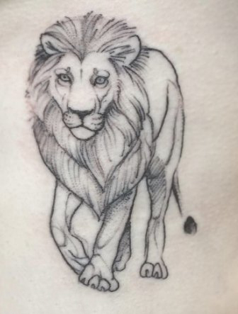 霸气的黑灰点刺简单抽象线条小动物狮子纹身图片
