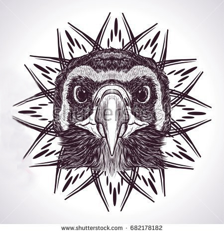黑灰素描创意文艺有趣动物猫头鹰纹身手稿