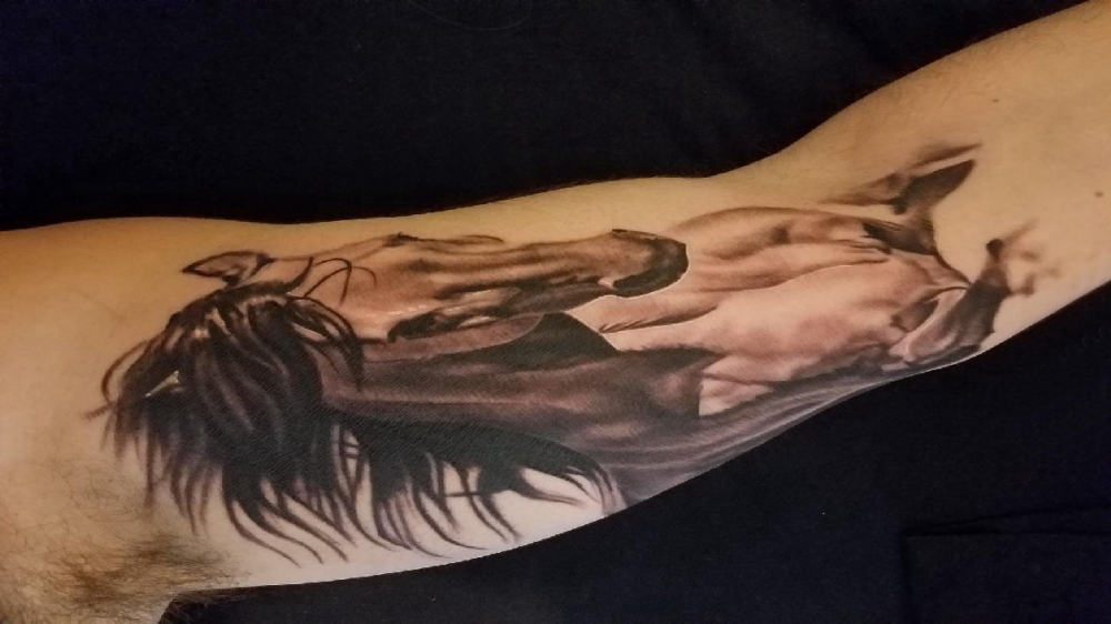 男生手臂上黑灰点刺简单线条小动物马纹身图片