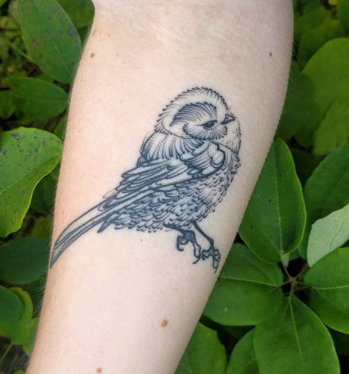 女生手臂上黑色点刺简单线条小动物鸟纹身图片