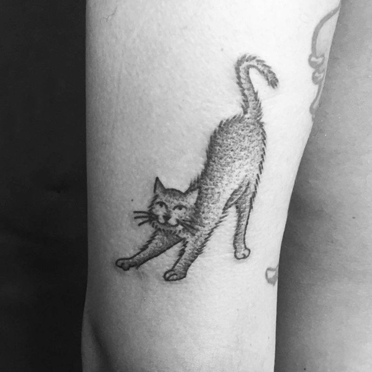 男生手臂上黑灰点刺简单线条小动物猫咪纹身图片