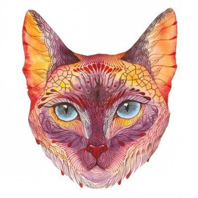 彩绘水彩素描创意俏皮可爱猫咪纹身手稿