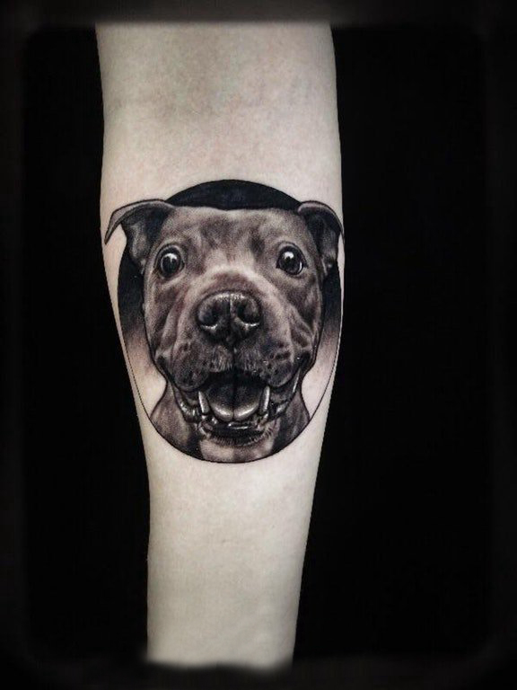 女生手臂上黑色点刺几何简单线条小动物小狗纹身图片