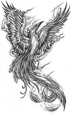 黑灰素描创意霸气展翅凤凰纹身手稿