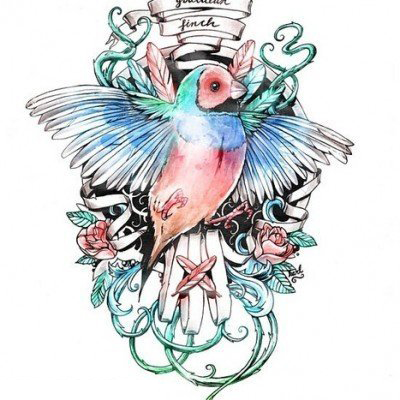 彩绘水彩素描创意文艺唯美小鸟纹身手稿