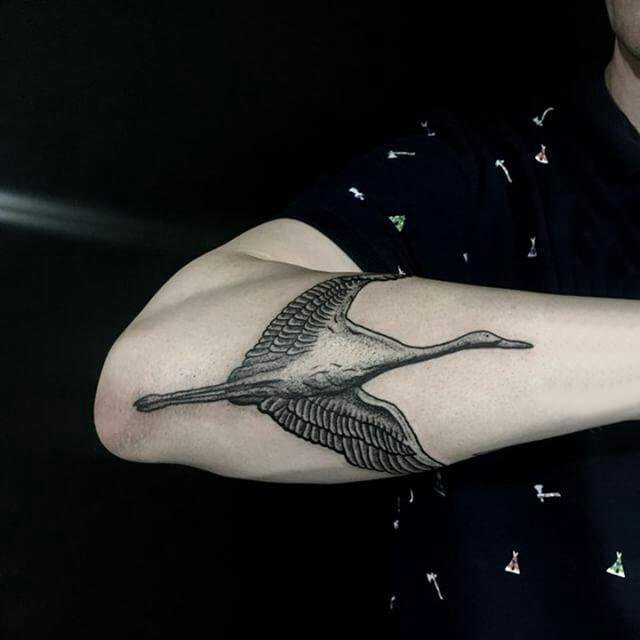 男生手臂上黑灰点刺简单线条小动物白鹤纹身图片