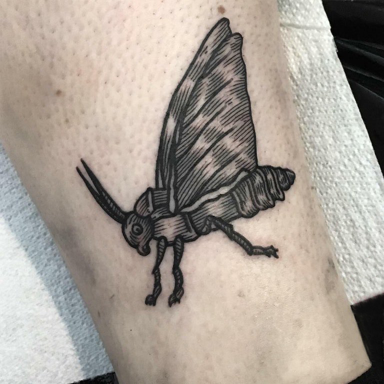 男生小腿上黑灰素描点刺技巧创意昆虫纹身图片