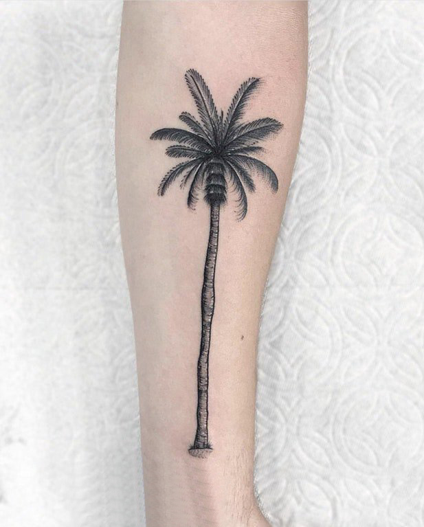 女生小腿上黑色点刺简单抽象线条植物椰树纹身图片
