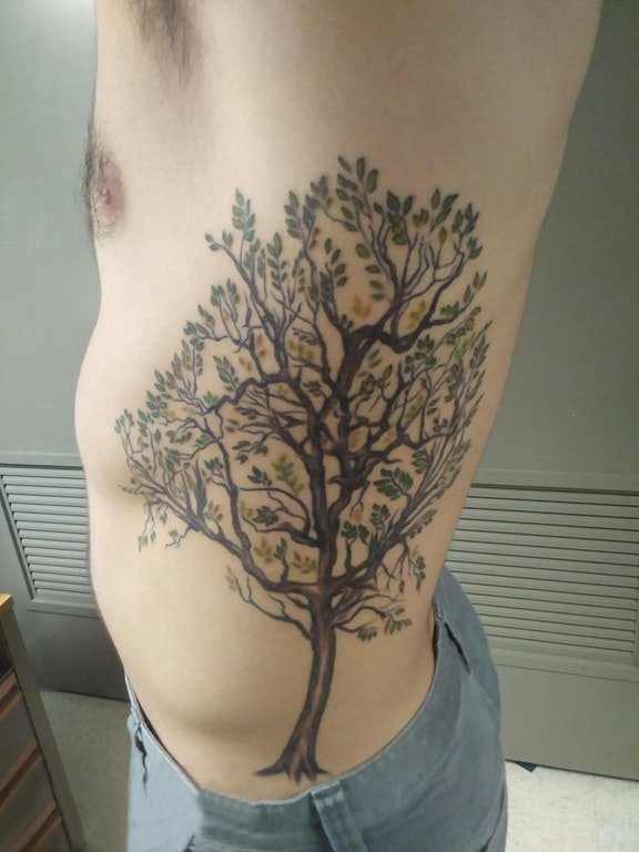 男生侧腰上彩绘渐变简单线条植物大树纹身图片