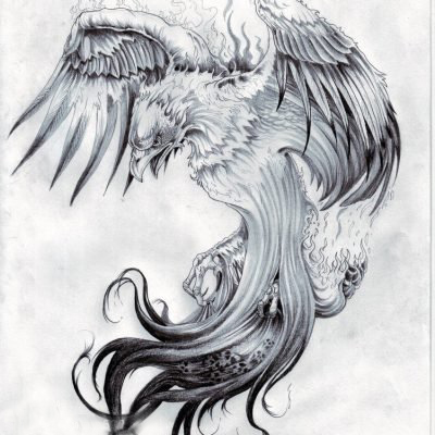 黑灰素描创意霸气展翅老鹰经典纹身手稿