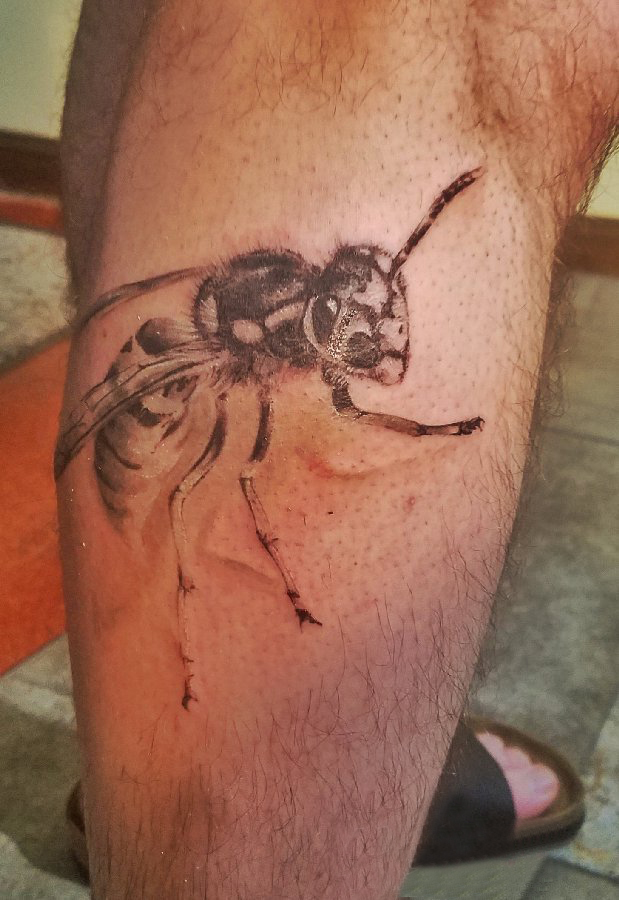 男生小腿上彩绘渐变简单线条小动物蜜蜂纹身图片