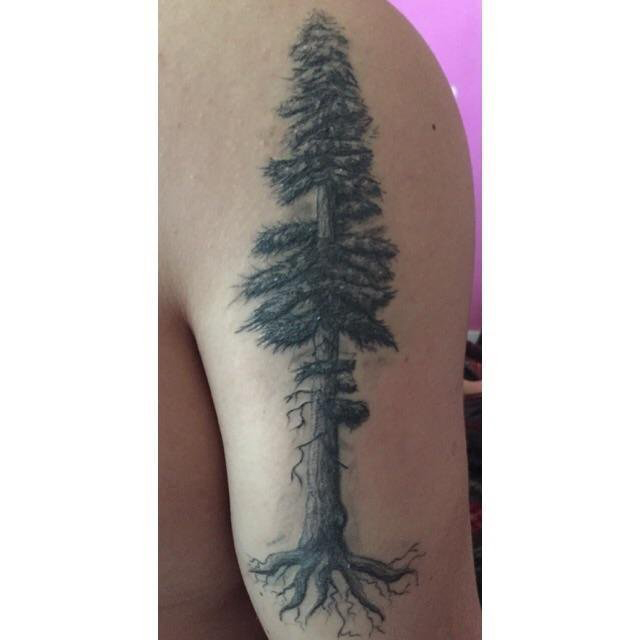 男生大臂上黑色点刺简单线条植物大树纹身图片