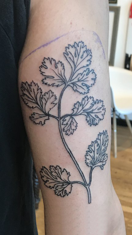 男生手臂上黑色简单线条小清新植物叶子纹身图片