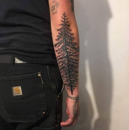 男生手臂上黑色点刺简单线条植物茂密大树纹身图片