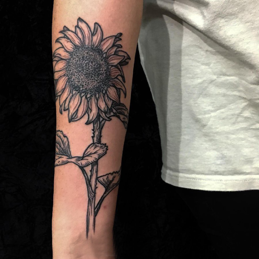 女生手臂上黑色点刺抽象线条植物向日葵纹身图片
