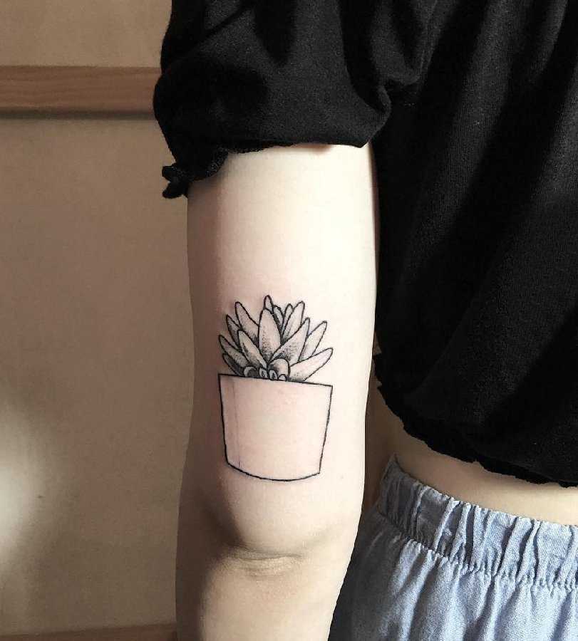 女生手臂上黑灰点刺简单几何线条植物盆栽纹身图片