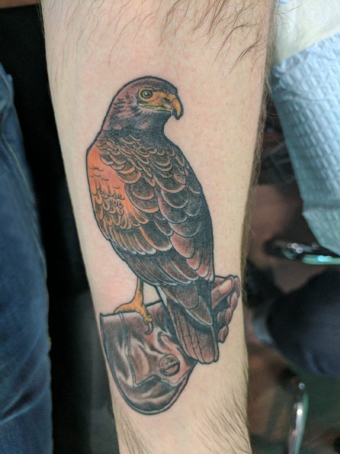 男生手臂上彩绘水彩素描可爱小鸟动物纹身图片