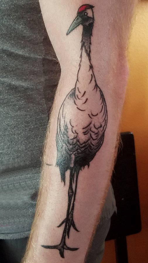 男生手臂上黑色点刺简单抽象线条小动物白鹤纹身图片