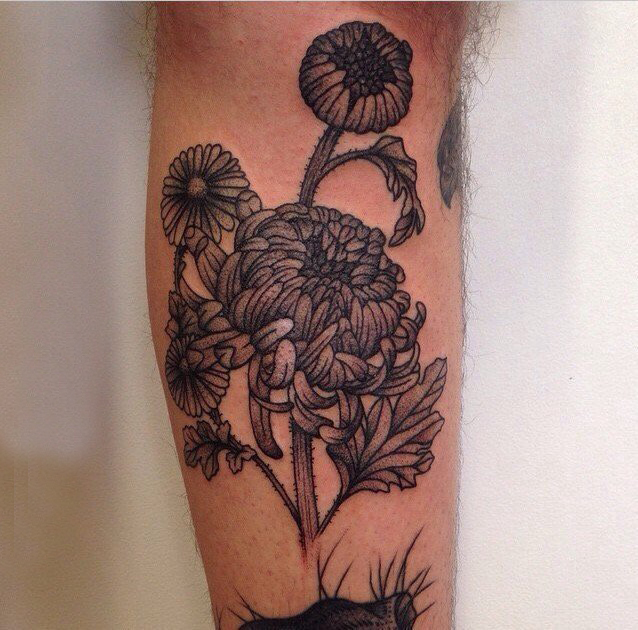 黑灰菊花纹身男生小腿上黑色的菊花纹身图片