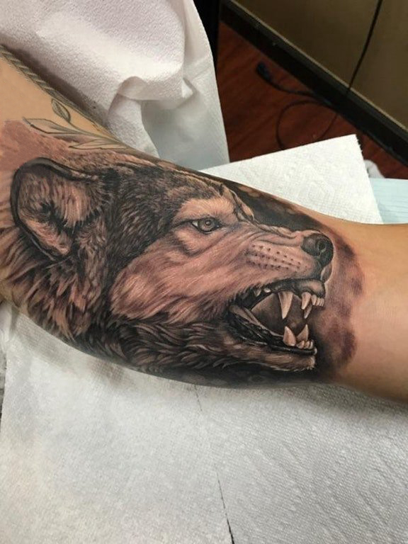 滴血狼头纹身图片男生手臂上黑色的狼头纹身图片