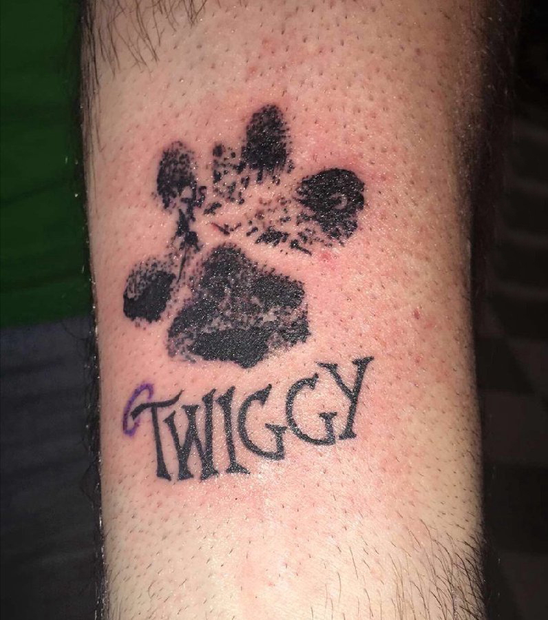 狗爪纹身 男生手臂上狗爪和英文纹身图片