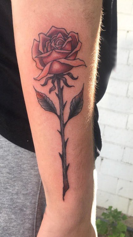 玫瑰小清新纹身 女生手臂上彩色的玫瑰花纹身图片