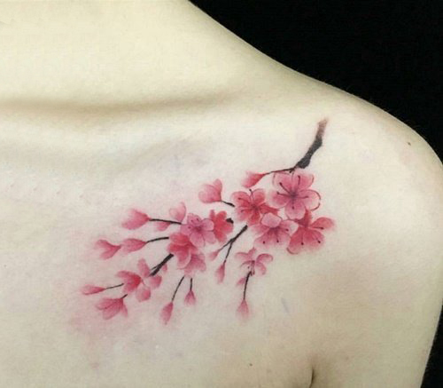 梅花纹身 女生肩部彩色的梅花纹身图片