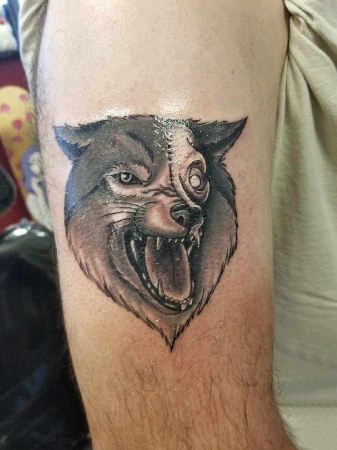 纹身狼头 男生手臂上狼头纹身图片
