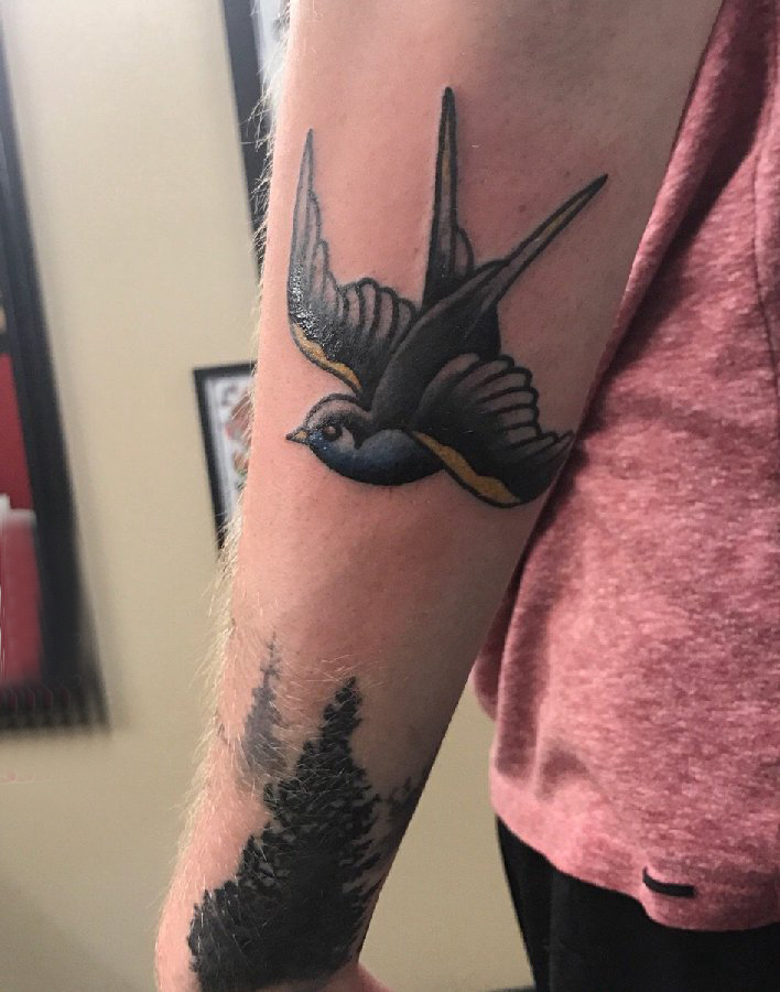 小鸟3d纹身 男生手臂上彩色的小鸟纹身图片