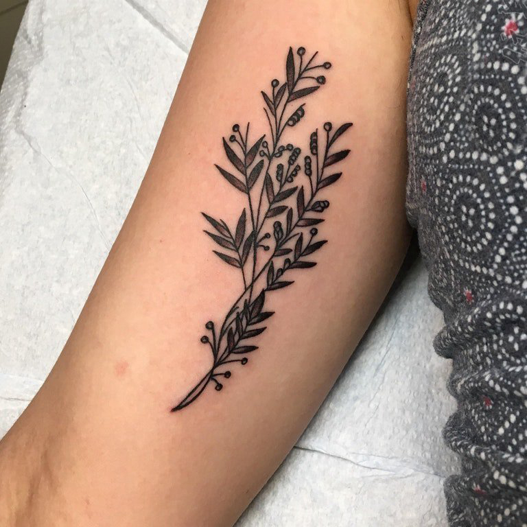 小清新植物纹身 女生手臂上黑色的植物纹身图片