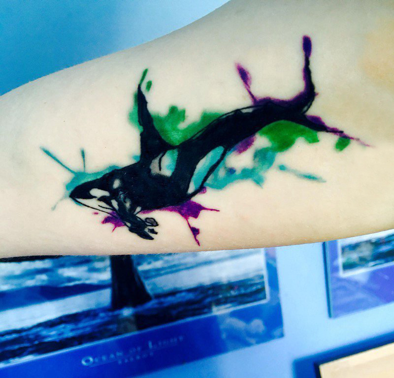 纹身鲸鱼 女生大臂上彩色的鲸鱼纹身图片