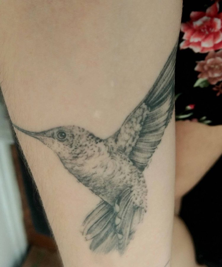 纹身鸟 女生大腿上黑灰的蜂鸟纹身图片