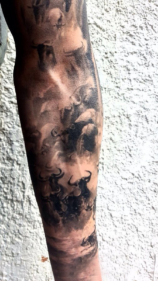 文艺手臂纹身 男生手臂上黑色角马迁徙纹身图片
