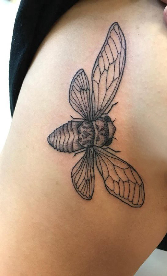 百乐动物纹身 女生侧腰上黑色的昆虫纹身图片