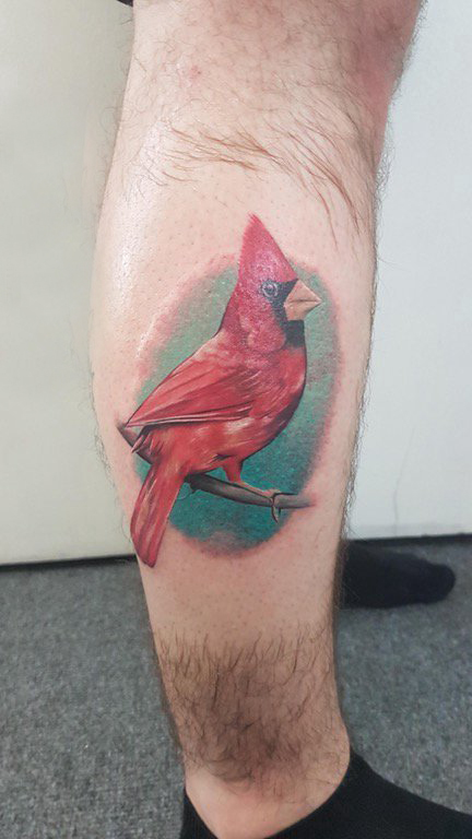 纹身鸟 男生小腿上彩色的鸟纹身图片