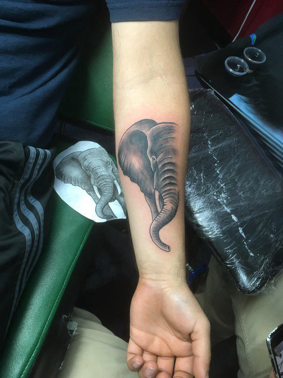 象纹身 男生手臂上黑色的大象纹身图片