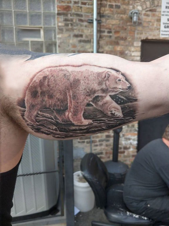 北极熊纹身 男生大臂上黑色的北极熊纹身图片
