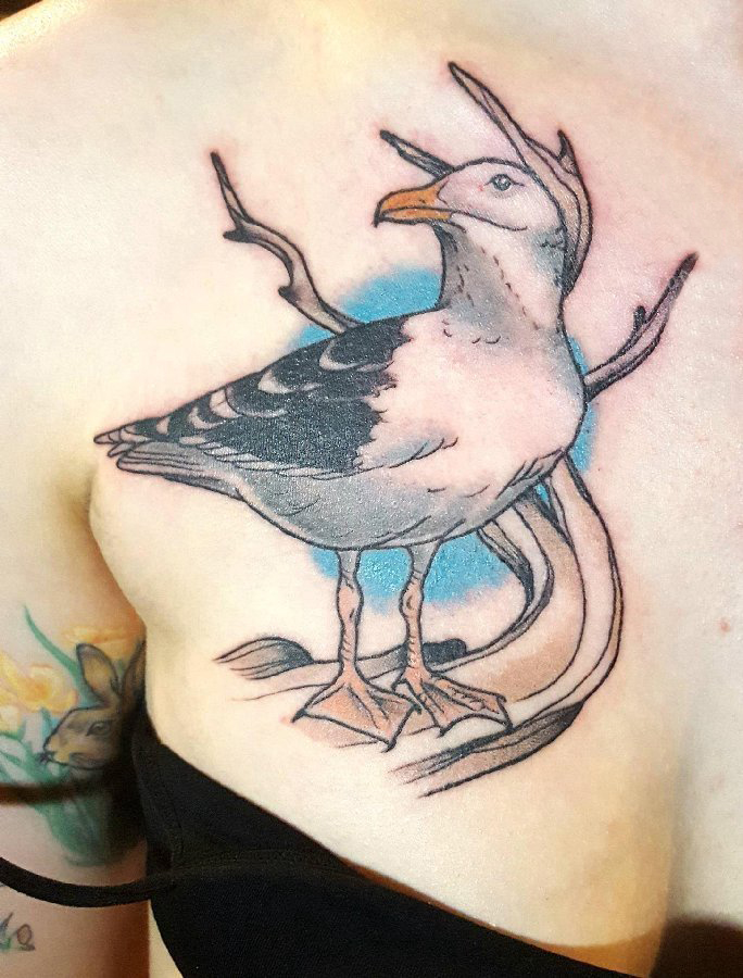 纹身海鸥 女生胸部彩色的海鸥纹身图片