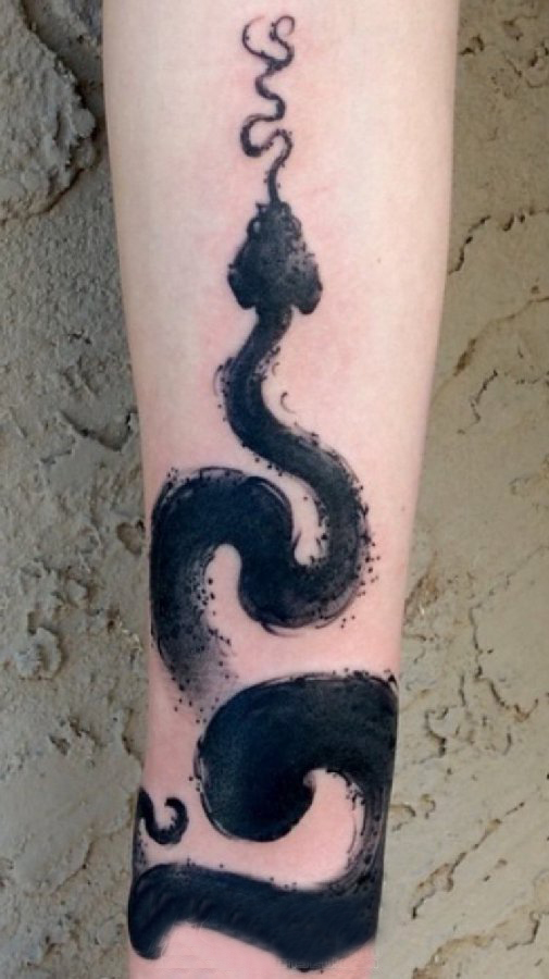 蛇纹身 女生手臂上蛇纹身水墨图片