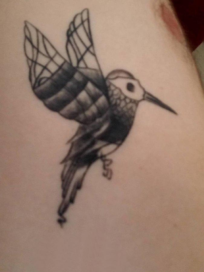 纹身鸟 男生大腿上黑色的蜂鸟纹身图片