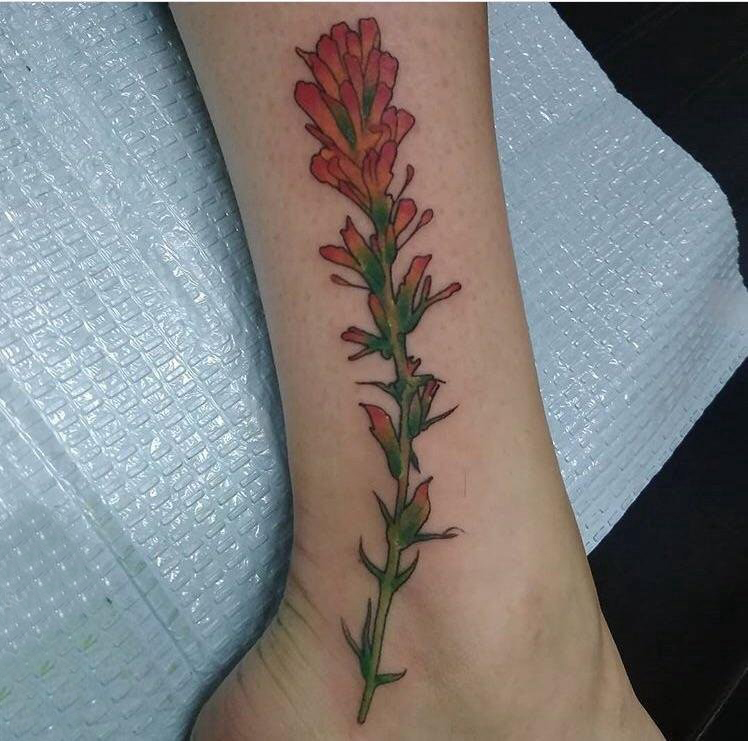 植物纹身 女生小腿上彩色的火焰草植物纹身图片