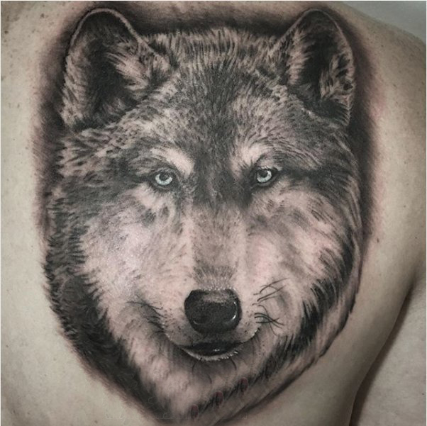 后背纹身男 男生后背黑色的狼头纹身图片