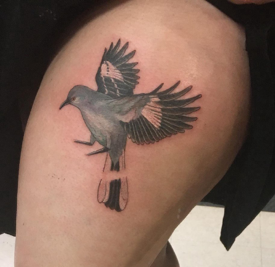 大腿纹身传统 女生大腿上黑色的鸟纹身图片