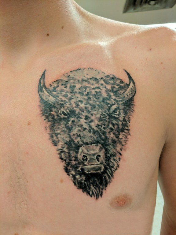 公牛头纹身 男生胸部黑色的牛头纹身图片