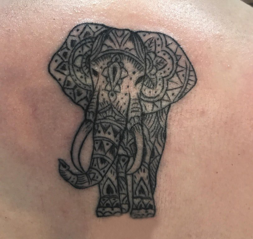 百乐动物纹身 男生后背上黑色的大象纹身图片