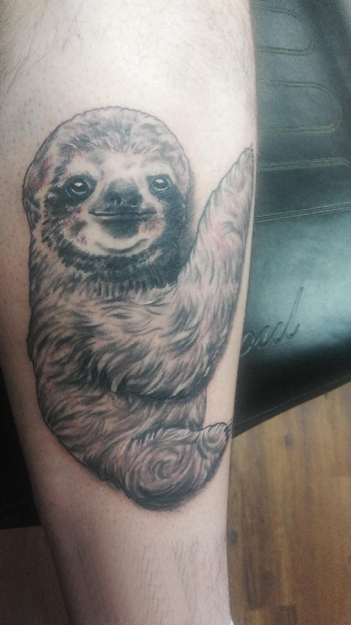 百乐动物纹身 男生小腿上黑色的动物纹身图片